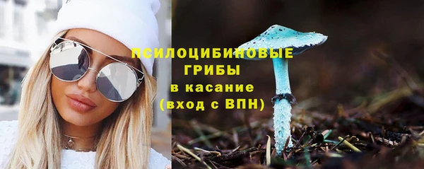 шишки Зерноград