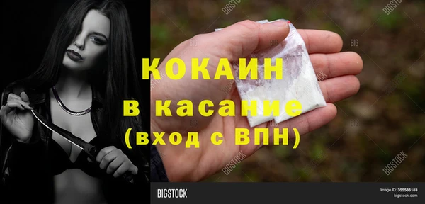 прущие грибы Зеленодольск