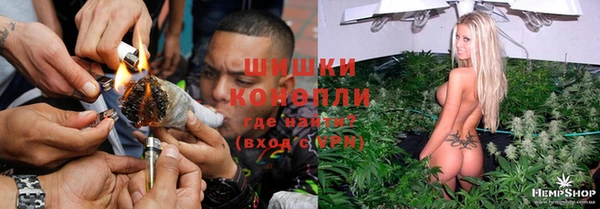 шишки Зерноград