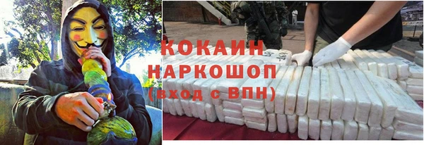 шишки Зерноград