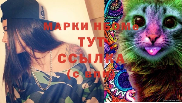 прущие грибы Зеленодольск
