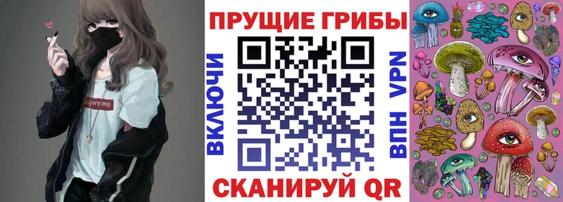 Купить закладки  Иннополис  Псилоцибиновые грибы MAGIC MUSHROOMS 